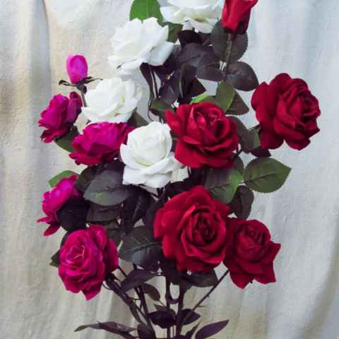 دانلود آهنگ ای شاخه پر گل قشنگم چرا تو رو میبینم سرخ میشه رنگم دانلود آهنگ ای شاخه پر گل قشنگم چرا تو رو میبینم سرخ میشه رنگم